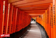 ศาลเจ้าฟุชิมิ อินาริ (Fushimi Inari Shrine) เกียวโต