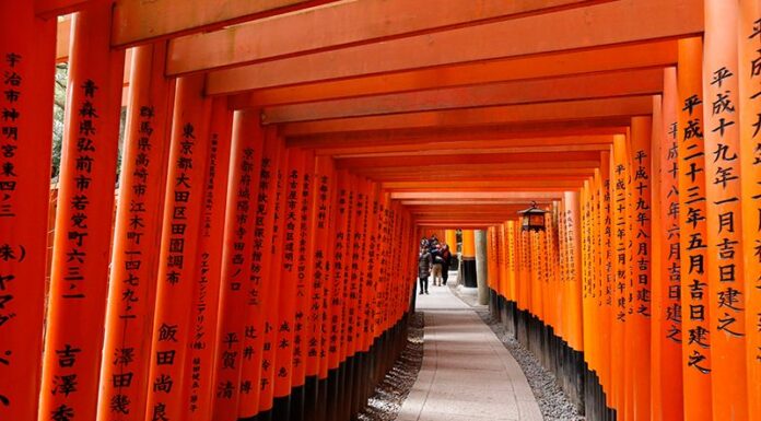 ศาลเจ้าฟุชิมิ อินาริ (Fushimi Inari Shrine) เกียวโต