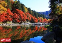 โครังเค (Korankei) สถานที่ชมใบไม้เปลี่ยนสีที่อยู่ในจังหวัดไอจิ (Aichi)