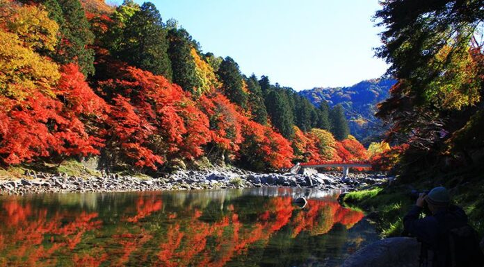โครังเค (Korankei) สถานที่ชมใบไม้เปลี่ยนสีที่อยู่ในจังหวัดไอจิ (Aichi)