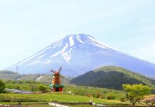 ตำนานคนตัดไผ่ แห่งภูเขาไฟฟูจิ