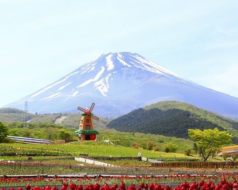 ตำนานคนตัดไผ่ แห่งภูเขาไฟฟูจิ