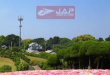 Jr Pass พาเที่ยวชิล ที่คิวชูเหนือ ด้วย JR Kyushu North