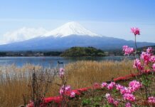 วันสบายๆ กับทะเลสาบคาวากุจิโกะ (Kawaguchiko Lake )