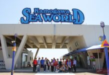Kamogawa Sea World สัตว์ทะเลน่ารัก
