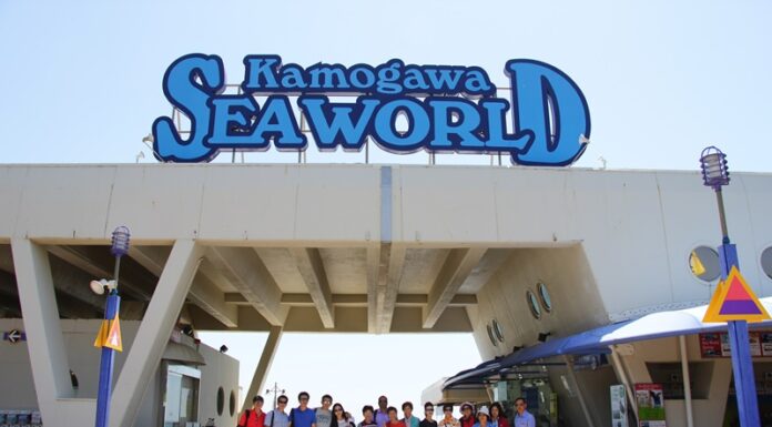 Kamogawa Sea World สัตว์ทะเลน่ารัก