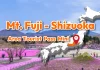 JR Mt.Fuji-Shizuoka Area Tourist Pass Mini