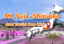 JR Mt.Fuji-Shizuoka Area Tourist Pass Mini