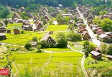 ใครมีปัญหาเรื่องจองรถบัสเข้าหมู่บ้านชิราคาวาโกะ ยกมือขึ้น!!!