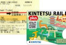 KINTETSU RAIL PASS 5 Days plus