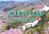 JR East Tohoku Area Pass 5 Days