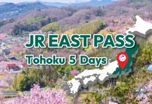 JR East Tohoku Area Pass 5 Days