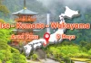 JR Ise-Kumano-Wakayama Area Tourist Pass