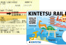 KINTETSU RAIL PASS 5 Days