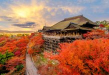 No.1001 KYOTO HIGHTLIGHTS ONE DAY BUS TOUR