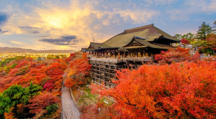 No.1001 KYOTO HIGHTLIGHTS ONE DAY BUS TOUR
