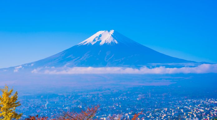 No.1072 Mt. Fuji 5th Station and Lake Kawaguchi One Day Bus Tour