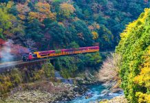 No.1010 Sagano Romantic Train and Kyoto One Day Bus Tour
