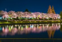 บรรยากาศสุดโรแมนติกที่สวน Fugan-ungakansui Park (Toyama)