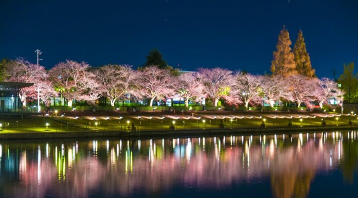 บรรยากาศสุดโรแมนติกที่สวน Fugan-ungakansui Park (Toyama)