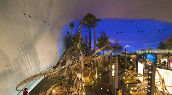 สุดยอดพิพิธภัณฑ์ไดโนเสาร์ท่ามกลางวิวสุดธรรมชาติ (Fukui Prefectural Dinosaur Museum)