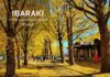 Ibaraki 7 พิกัดตามรอยใบไม้เปลี่ยนสี “อิบารากิ”