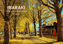 Ibaraki 7 พิกัดตามรอยใบไม้เปลี่ยนสี “อิบารากิ”