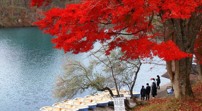 สัมผัสมนต์เสน่ห์แบบญี่ปุ่นในจังหวัดฟุกุชิมะ (Fukushima)