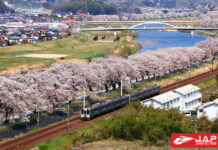 เที่ยวสุดฟิน in Sendai ไม่ไปไม่ได้แล้ว!!!