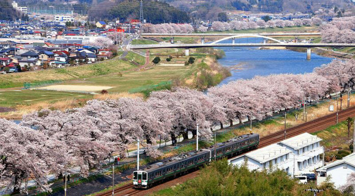 เที่ยวสุดฟิน in Sendai ไม่ไปไม่ได้แล้ว!!!