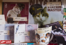 WAKAYAMA : One Day Trip ของเหล่าทาสแมวในญี่ปุ่น