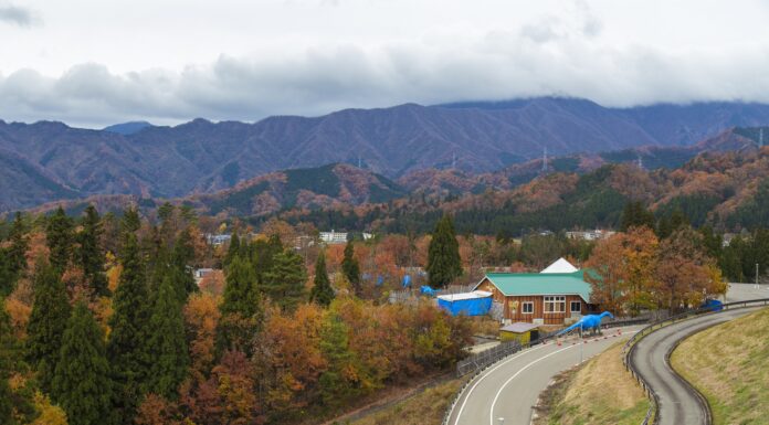 พิพิธภัณฑ์ไดโนเสาร์ Katsuyama Fukui ศูนย์กลางการวิจัยไดโนเสาร์ที่ใหญ่ที่สุดของญี่ปุ่น พิพิธภัณฑ์ไดโนเสาร์ Katsuyama Fukui