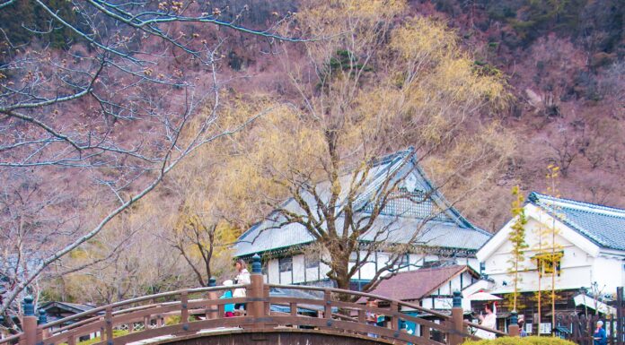Edo Wonderland Nikko สวนสนุกย้อนยุควัฒนธรรมญี่ปุ่นในสมัยเอโดะ Edo Wonderland
