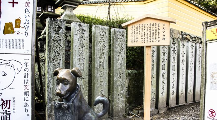 ชมความงดงามของศาลเจ้า Konpira Shrine จังหวัดคางาวะ Konpira Shrine