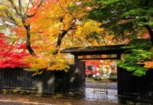 จุดท่องเที่ยวในคาคุโนะดาเตะ @AKITA