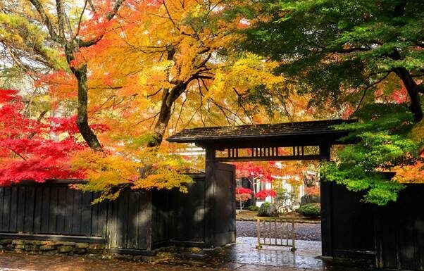 จุดท่องเที่ยวในคาคุโนะดาเตะ @AKITA