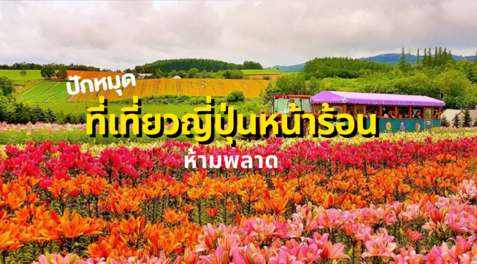 ปักหมุดที่เที่ยวญี่ปุ่นหน้าร้อนห้ามพลาด