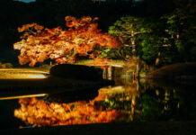 งานประดับไฟในสวนสวย “ริคุงิเอน” ในฤดูใบไม้เปลี่ยนสี