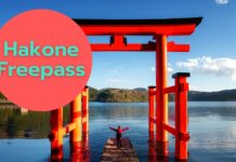 Hakone Freepass