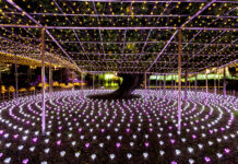 สวนดอกไม้อาชิคางะ (Ashikaga Flower Park) ชมดอกวิสทีเรียแสนสวย ยิ่งใหญ่สุดตระการตา