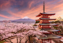 เจดีย์ชูเรโต (Chureito Pagoda) ชมวิวเจดีย์คู่ภูเขาไฟฟูจิไปพร้อมกับซากุระบาน