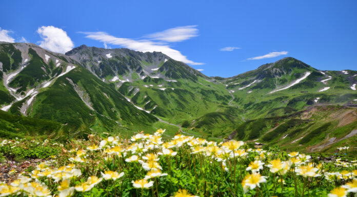 เส้นทางเจแปนแอลป์ ทาเตยามะ-คุโรเบะ (Tateyama Kurobe Alpine Route)