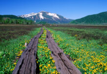 ที่ราบสูงโอเซกาฮาระ