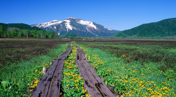 ที่ราบสูงโอเซกาฮาระ