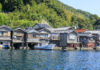 NO.1014 Kyoto by the Sea Amanohashidate Cable car ・ Ine no Funaya Cruise Day Tour