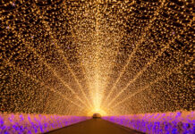 อัพเดทวันจัดงาน Nabana no sato lllumination 2023-2024