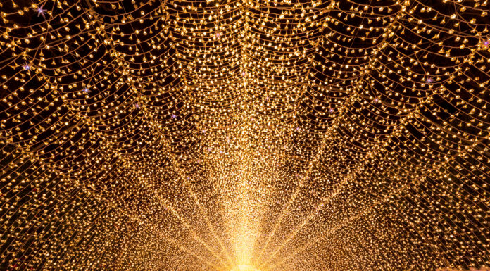 อัพเดทวันจัดงาน Nabana no sato lllumination 2023-2024