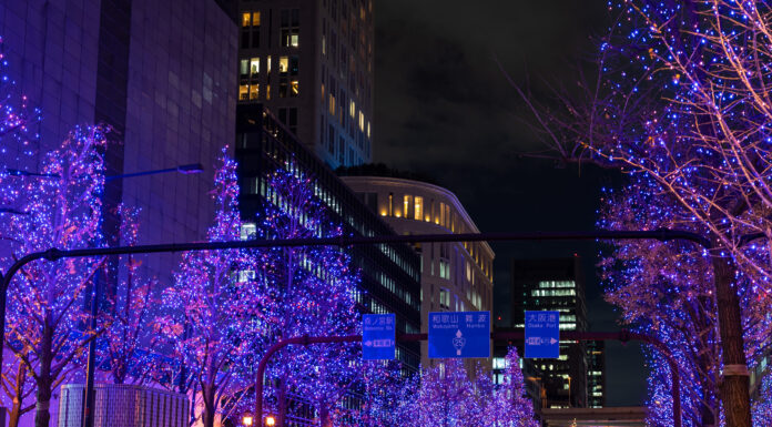 Festival of the light in Osaka 2023