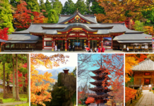 JR EAST แนะนำ 5 จุดชมใบไม้เปลี่ยนสียอดฮิต 2023