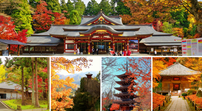 JR EAST แนะนำ 5 จุดชมใบไม้เปลี่ยนสียอดฮิต 2023